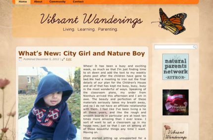 Vibrant Wanderings